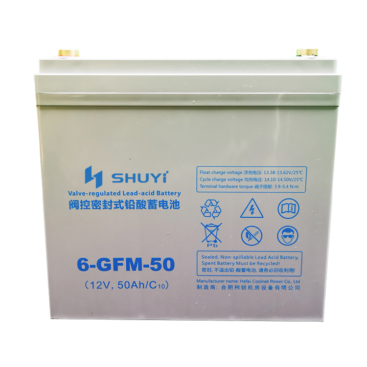 Maintenance-free valve regulated lead-acid battery